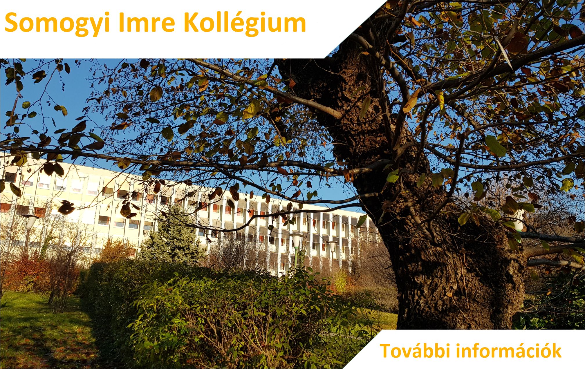 Somogyi Imre Kollégium